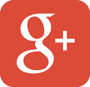 Google+ Logo