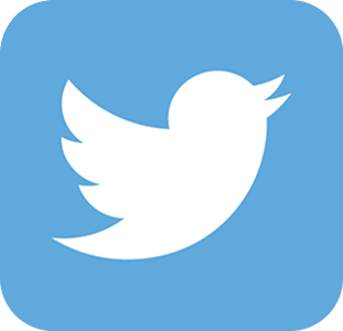 Twitter Logo
